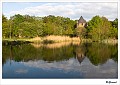 De Tomp_20100505_002